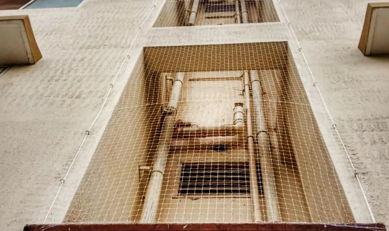 Common Duct Net