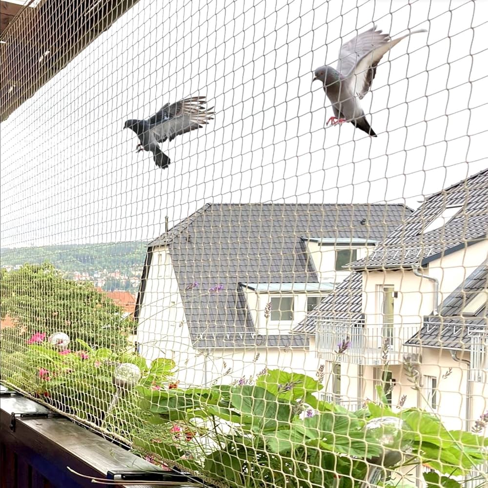 Pigeon Safety Net Kottayam