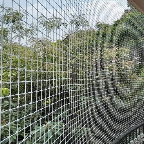 Bird Spikes Kottayam